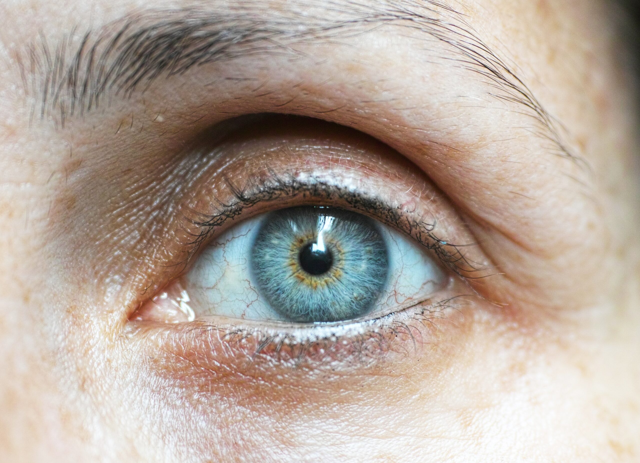Le Regard du philosophe sur les Neurosciences