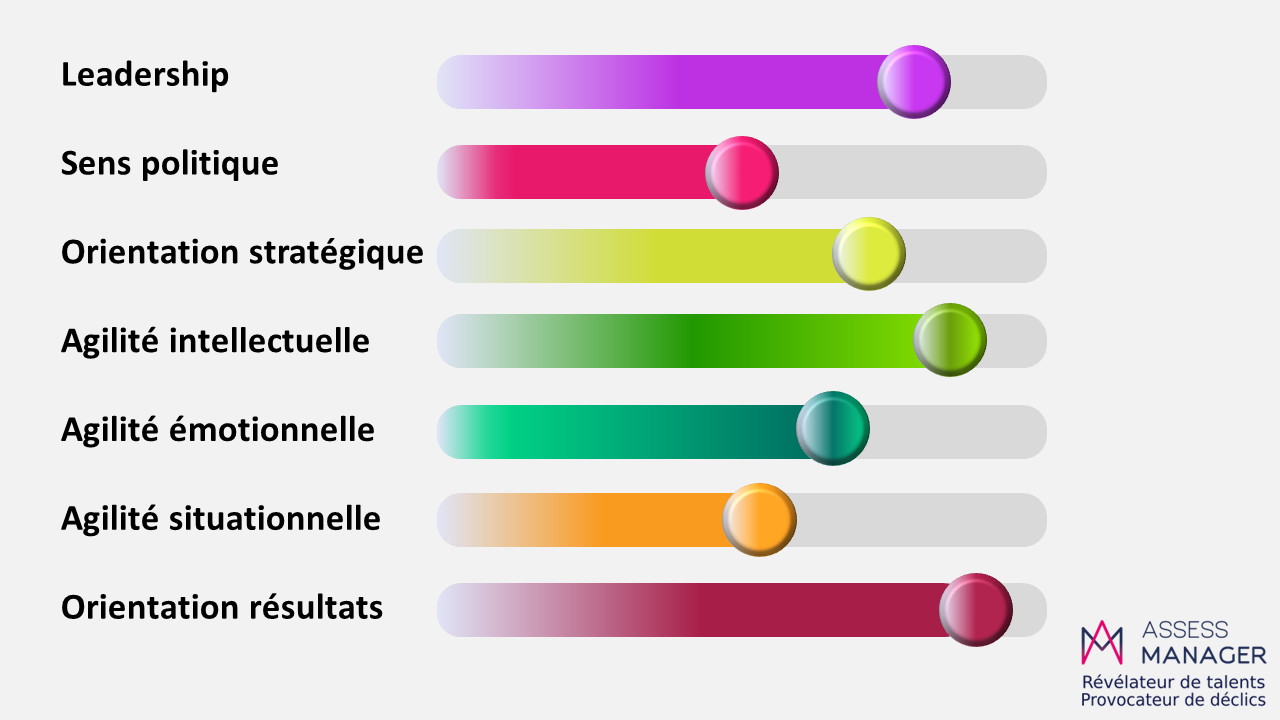 Evaluation managériale Assess manager, Assessment