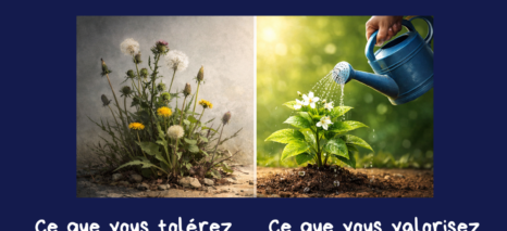 Valorisation et management