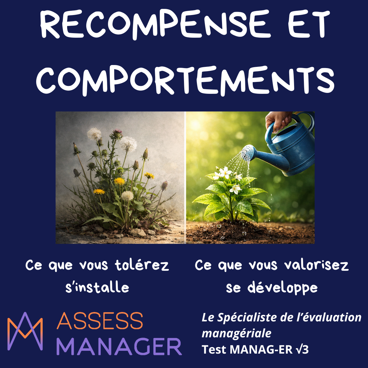 Valorisation et management